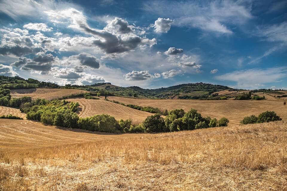 toscana