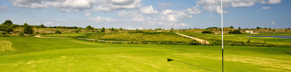 acaya