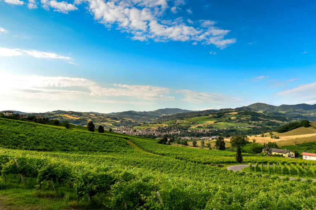 Vigneti Val Tidone